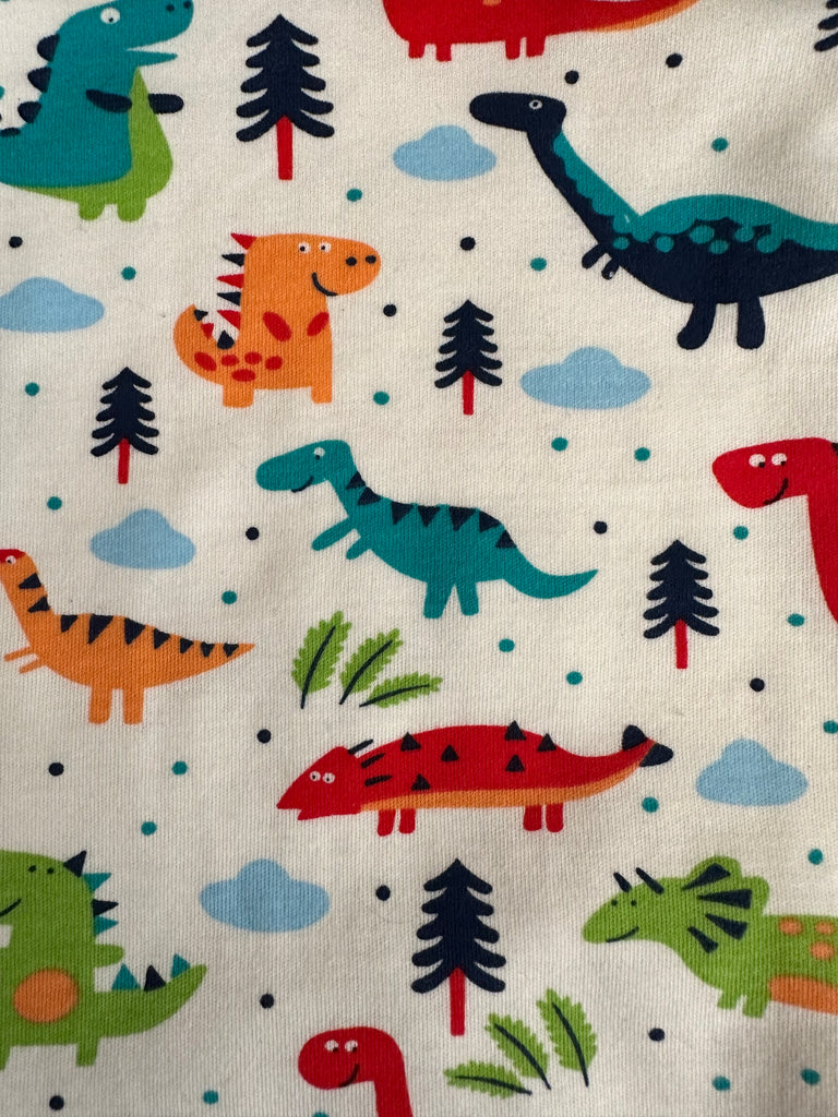 Jersey Baby Sets - Colourful Dino