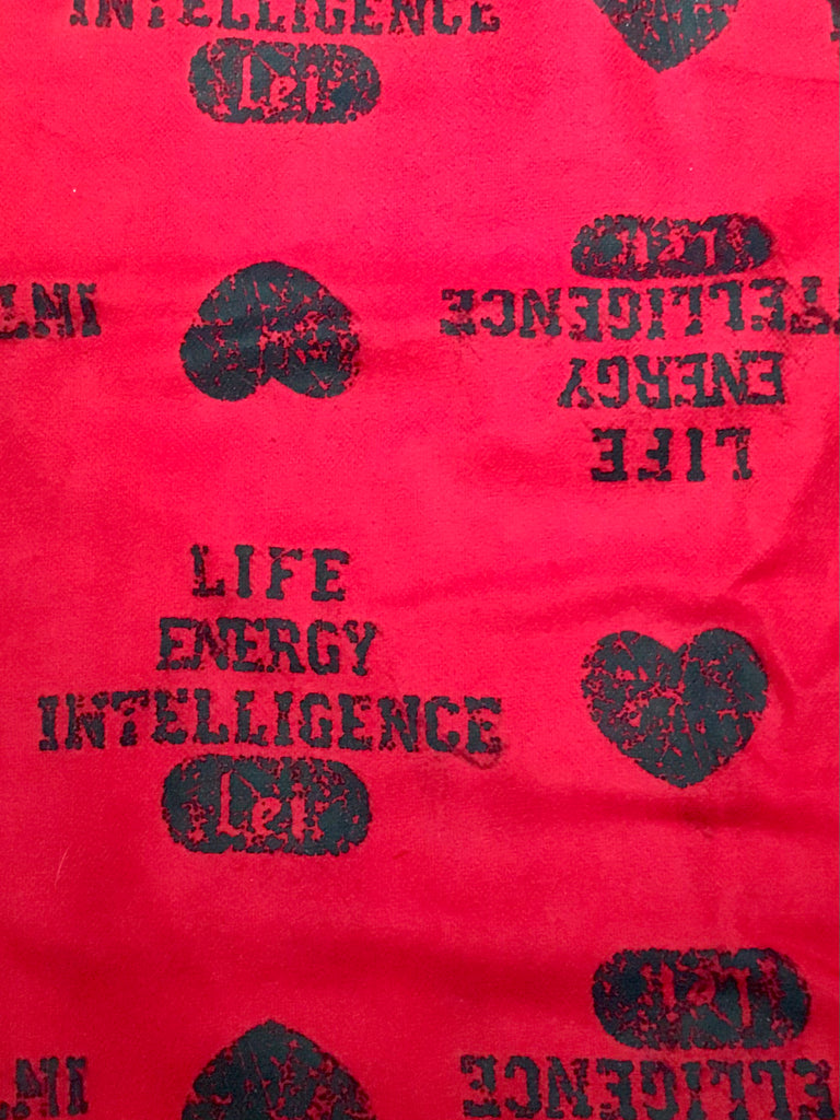 Flannel Pants - L.E.F (Live, Energy, Intelligence)